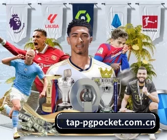 tap-pgpocket.com.cn APP